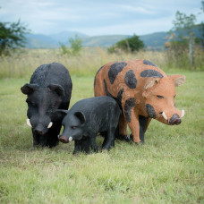 Wildcrete Feral Boar